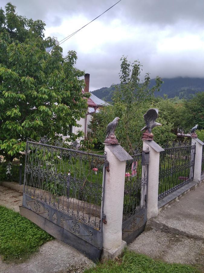 Casuta Bunicilor Villa Dorna Cindrenilor Ngoại thất bức ảnh