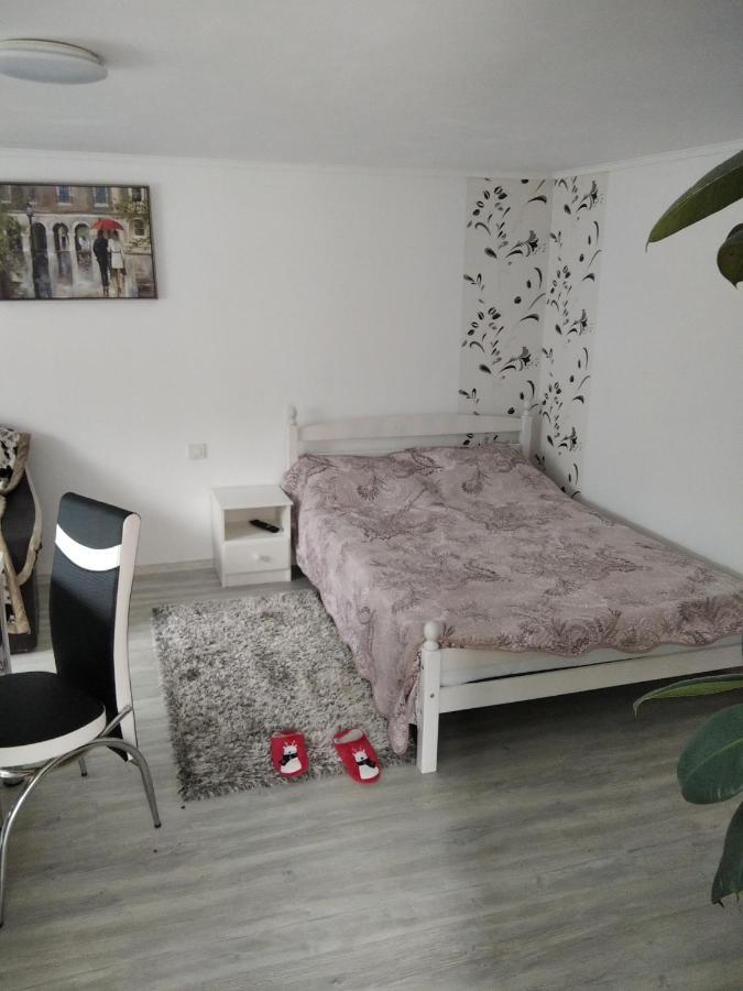 Casuta Bunicilor Villa Dorna Cindrenilor Ngoại thất bức ảnh