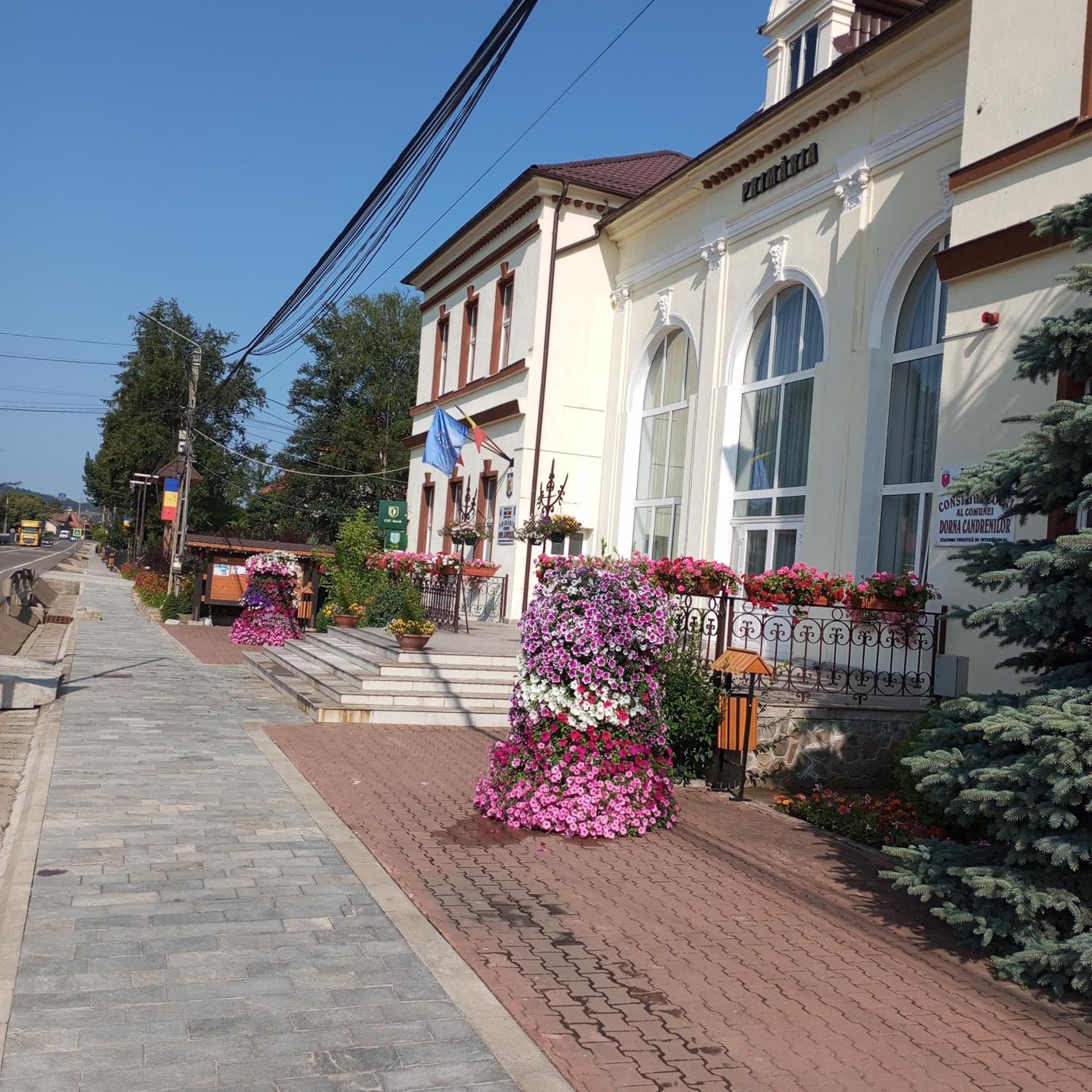 Casuta Bunicilor Villa Dorna Cindrenilor Ngoại thất bức ảnh